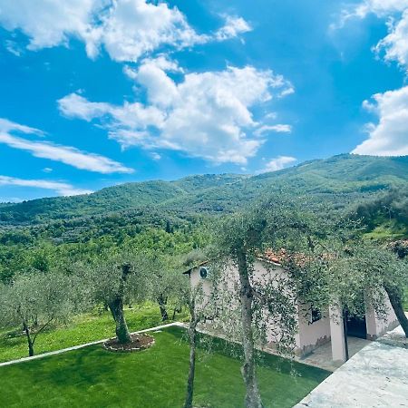 Casa Vacanze Gli Ulivi Borgomaro المظهر الخارجي الصورة