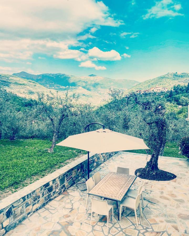 Casa Vacanze Gli Ulivi Borgomaro المظهر الخارجي الصورة