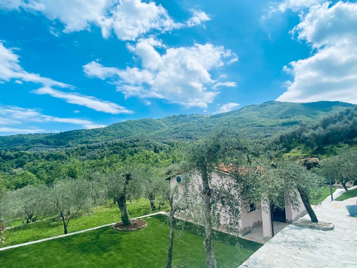 Casa Vacanze Gli Ulivi Borgomaro المظهر الخارجي الصورة