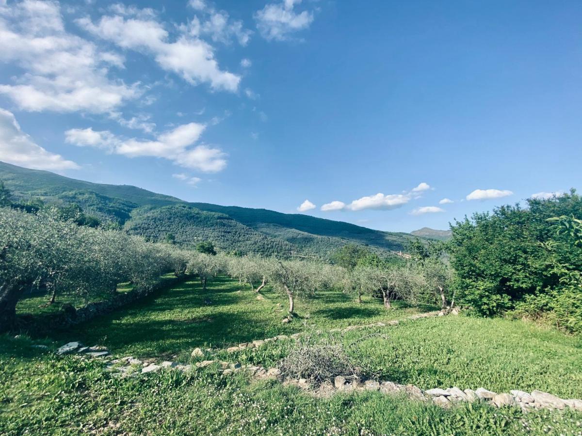 Casa Vacanze Gli Ulivi Borgomaro المظهر الخارجي الصورة