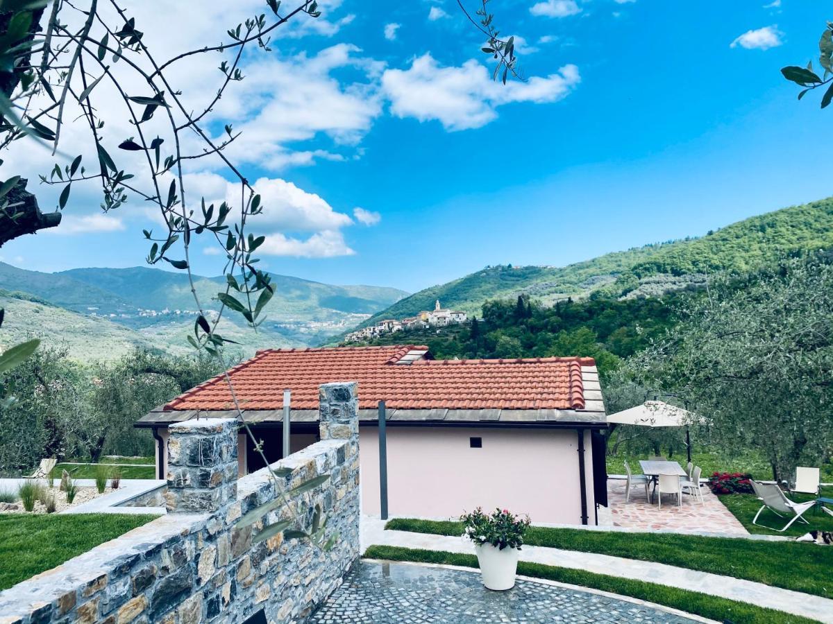 Casa Vacanze Gli Ulivi Borgomaro المظهر الخارجي الصورة