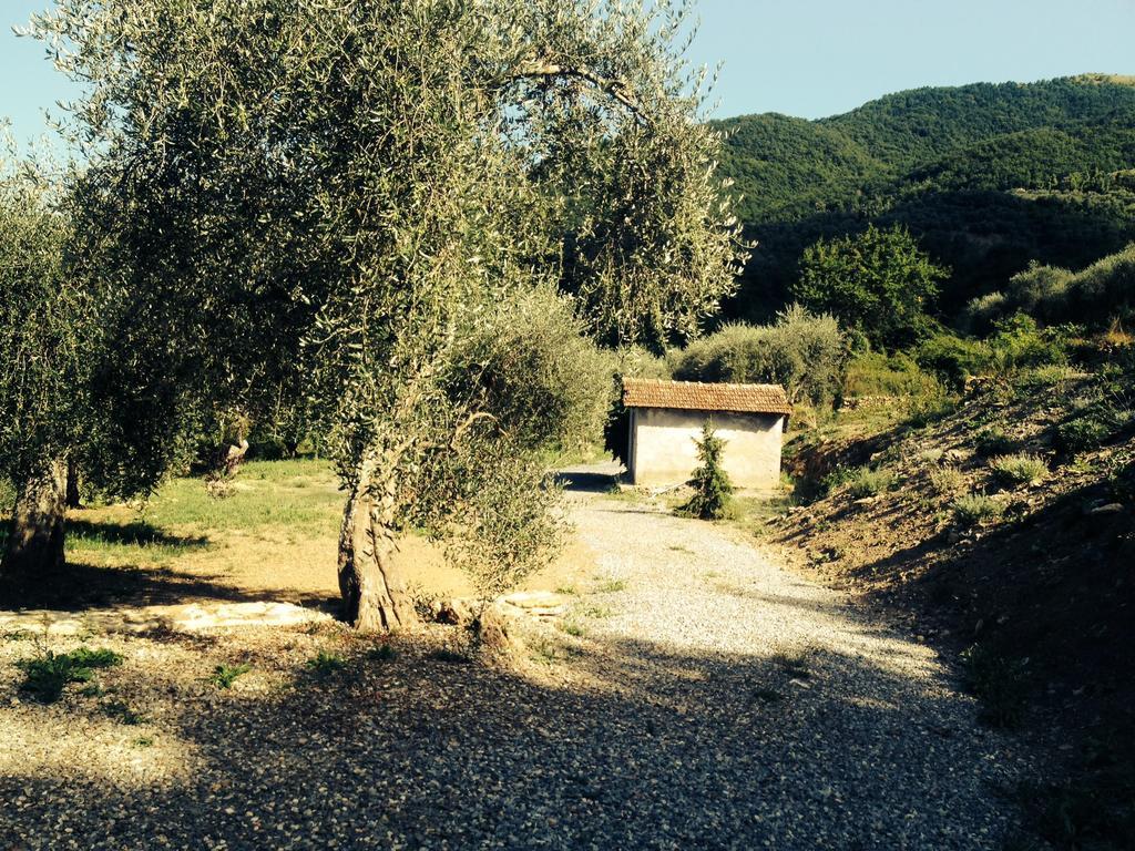 Casa Vacanze Gli Ulivi Borgomaro الغرفة الصورة