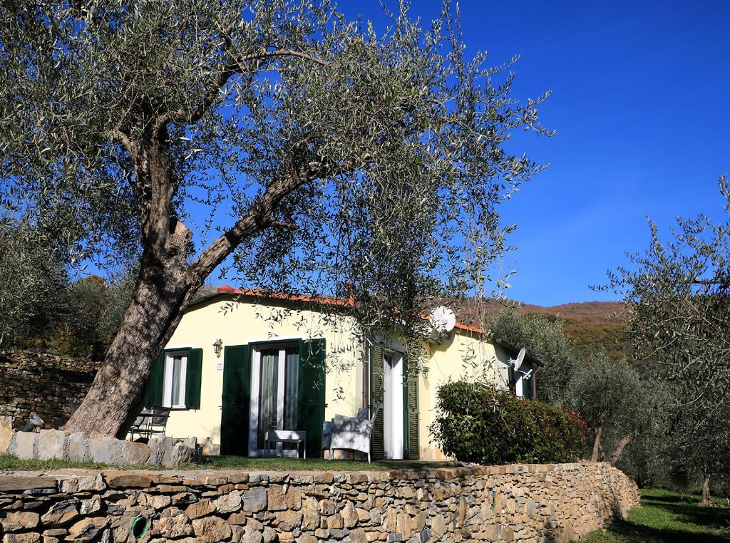 Casa Vacanze Gli Ulivi Borgomaro المظهر الخارجي الصورة